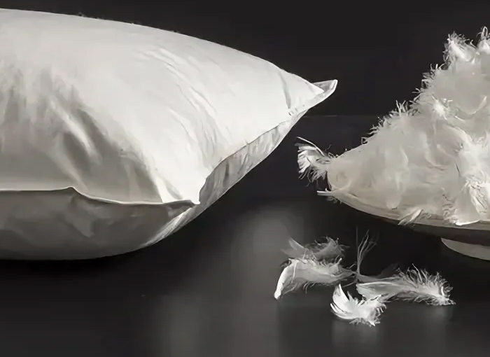 Zhejiang Shengjie Down Products Co., Ltd.